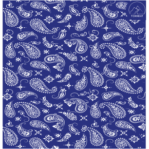 TUBE MICROPOLAIRE PRINT BLUE BANDANA | PVC : 12,95€ | Coef : 3.24