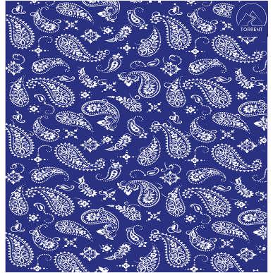 TUBE MICROPOLAIRE PRINT BLUE BANDANA | PVC : 12,95€ | Coef : 3.24